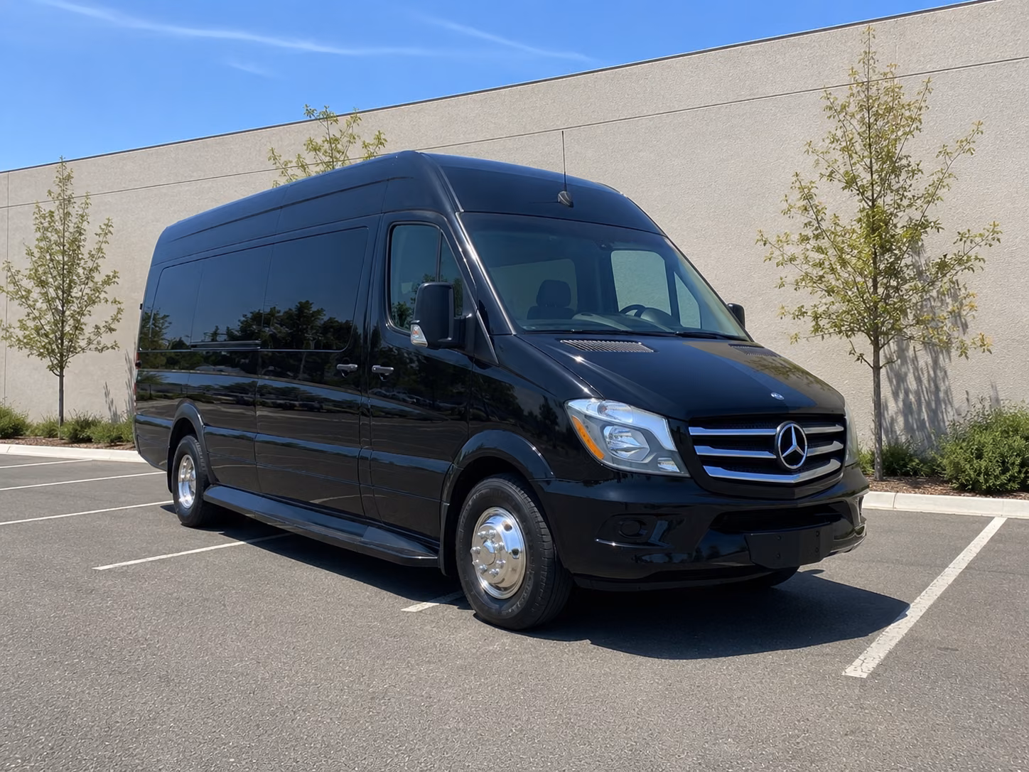 book the perfect ride for your next bachelor or bachelorette party 3
