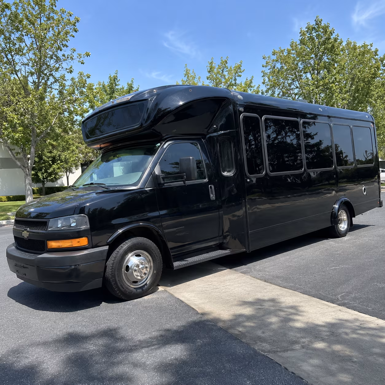 flower mound 15 passenger party bus