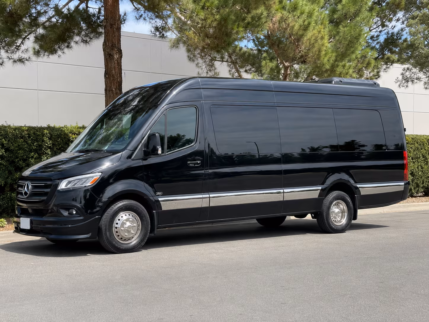 flower mound sprinter van with driver